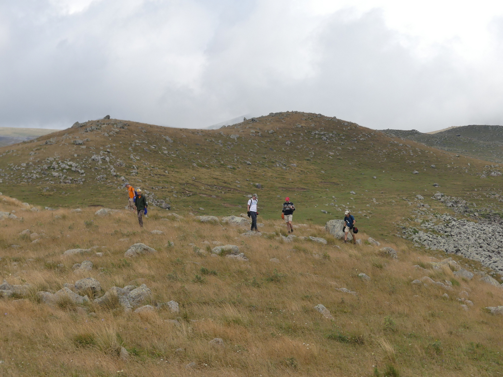 Vipera d. darevskii habitat Vladimirovka (4)